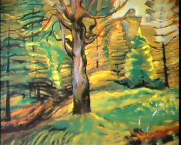 Tree Study Oil Painting by Emily M. Carr