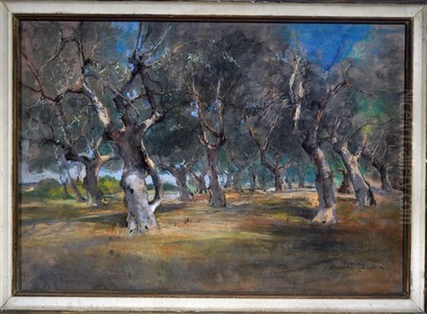 Gli Olivi Di Castro Oil Painting by Giuseppe Casciaro