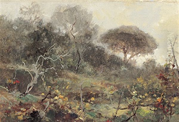 Spatsommerliche Landschaft Mit Weinstocken Und Bewaldetem, Sanft Abfallendem Hugel Oil Painting by Giuseppe Casciaro