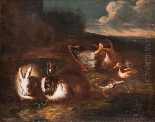 Rabbits And Ducks Oil Painting by Giovanni Agostino Cassana