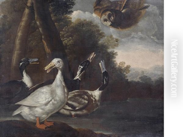 Ducks In A River Landscape With An Owl In Flight Oil Painting by Giovanni Agostino Cassana