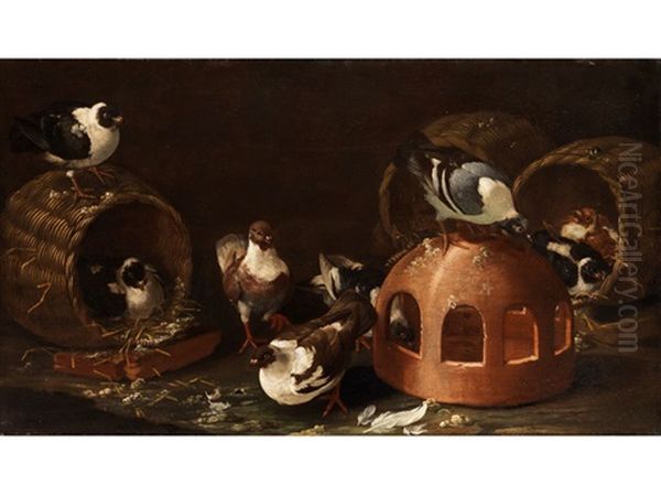 Tauben Zwischen Futtertrog Und Korben Oil Painting by Giovanni Agostino Cassana