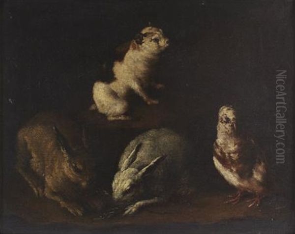 Rabbits, Dove And A Guinea Pig In An Interior Oil Painting by Giovanni Agostino Cassana