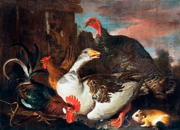 Kakas, Tyuk, Liba Es Pulyka Tengerimalaccal Oil Painting by Giovanni Agostino Cassana