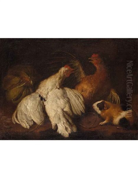 Pollame, Cavia E Frutta Oil Painting by Giovanni Agostino Cassana
