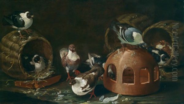 Stillleben Mit Geflochtenen Korben Und Tauben Oil Painting by Giovanni Agostino Cassana