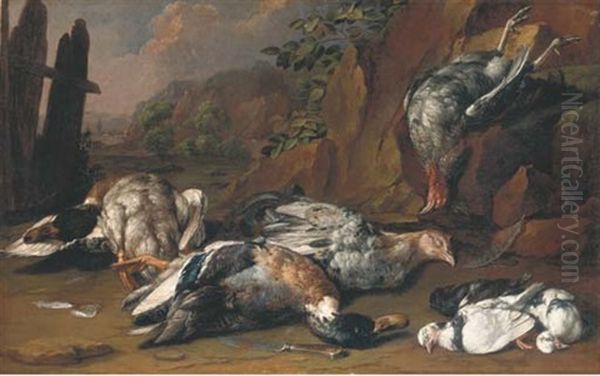 A Hunting Still Life With Ducks, Hens And Other Fowl In A Rocky Landscape Oil Painting by Giovanni Agostino Cassana