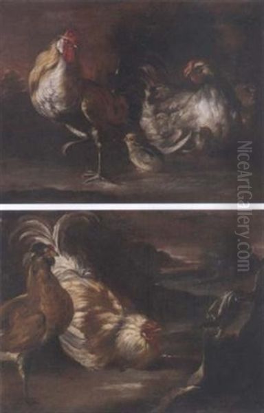 A Cockerel, A Chicken And Chicks In A Landscape Oil Painting by Giovanni Agostino Cassana