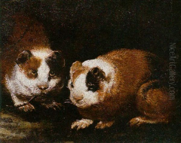 Guinea Pigs Oil Painting by Giovanni Agostino Cassana