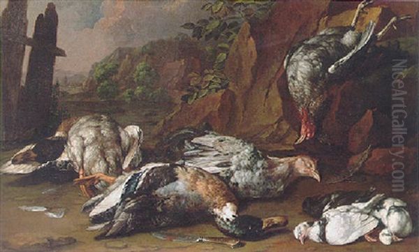 A Still Life Of Ducks, Hens And Other Fowl Beside A Knife In A Rocky Landscape Oil Painting by Giovanni Agostino Cassana
