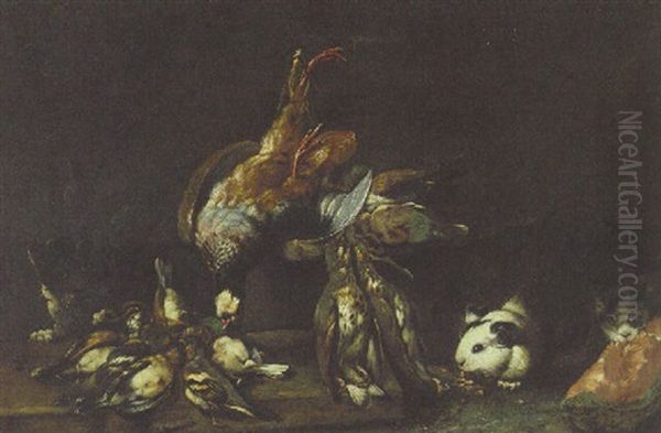 A Partridge, Quails, Finches And Other Birds On A Ledge With A Cat And Guinea-pigs By A Slice Of Water Melon Oil Painting by Giovanni Agostino Cassana