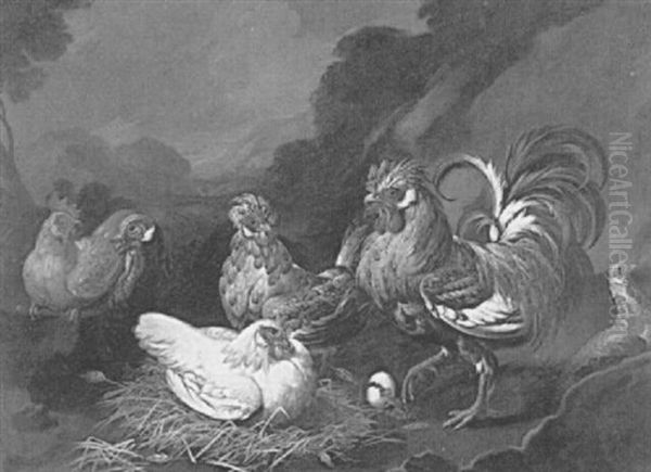 Roosters, Chickens And A Turkey In A Landscape Oil Painting by Giovanni Agostino Cassana