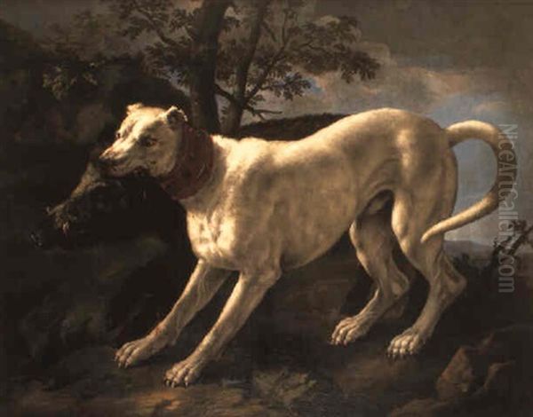A Boar Attacked By A Boar-hound On A Hillside Oil Painting by Giovanni Agostino Cassana