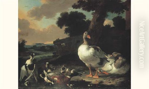 Canards Et Oies Dans Un Paysage Oil Painting by Pieter Casteels III