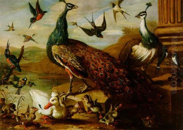 Federvieh Oil Painting by Pieter Casteels III