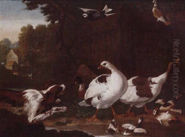 Spaniels Startling Geese And Ducks In A Farmyard Oil Painting by Pieter Casteels III