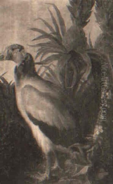 A Vulture By A Pineapple Tree Oil Painting by Pieter Casteels III