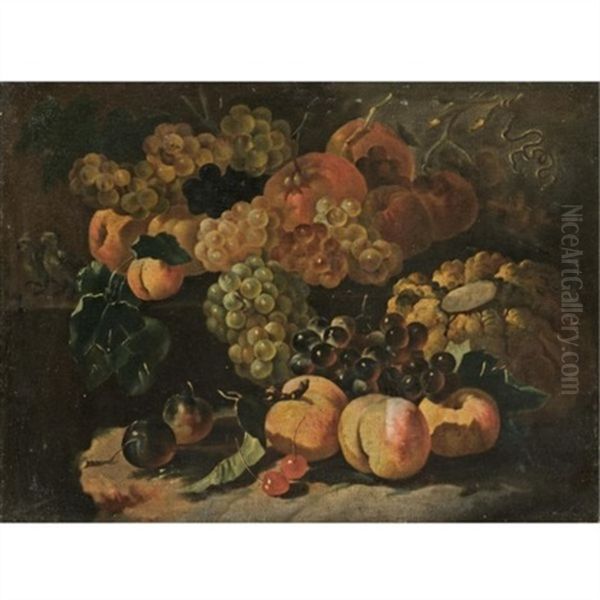 A Still Life With Grapes, Plums, Peaches, Apricots, Cherries, A Melon And Various Other Fruit Oil Painting by Giovanni Paolo Castelli (lo Spadino)