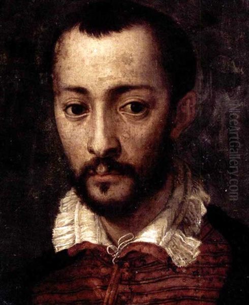 Portrait Of Francesco I De'medici (1541-1587), Head And Shoulders, Wearing A Black And Red Jacket With A White Collar Oil Painting by Mirabello Cavalori (Salincorno)