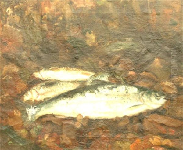 Les Truites Oil Painting by Edmond Ceria