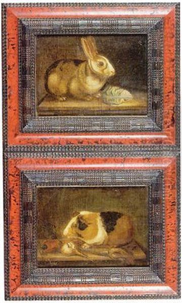 Lapin Oil Painting by Michelangelo Cerquozzi