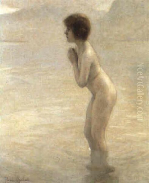 Brume Matinale (lac D'annecy) Oil Painting by Paul Emile Chabas