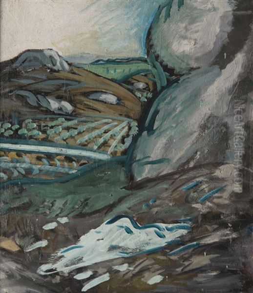 Vue Plongeante Sur Un Champs D