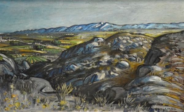 Vue Plongeante Sur Les Alpilles Oil Painting by Auguste Chabaud