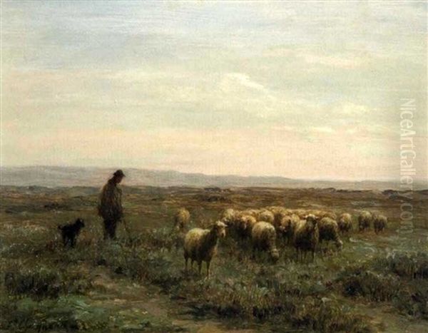 Le Pere Chicoree Et Son Troupeau, Plaine De Chailly Oil Painting by Jean-Ferdinand Chaigneau