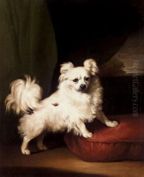 Her Favourite - A Portrait Of A White Papillon Oil Painting by Henry Bernard Chalon