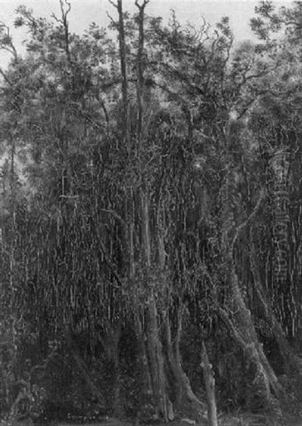 Der Dunkle Wald Oil Painting by Theodore Champion