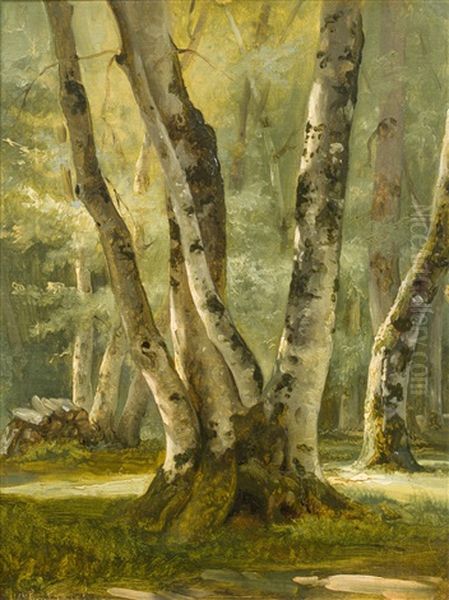 Etude De Bouleau Oil Painting by Antoine Chintreuil