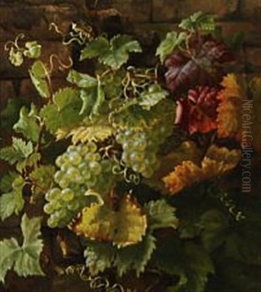 Grapes And Vines On A Wall Oil Painting by Anthonie, Anthonore Christensen