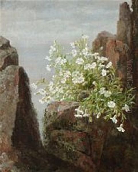 Wild Flowers At Kullen Oil Painting by Anthonie, Anthonore Christensen
