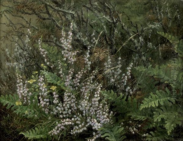 Kleines Wiesenstuck Mit Bluhender Heide Und Farnen Oil Painting by Anthonie, Anthonore Christensen