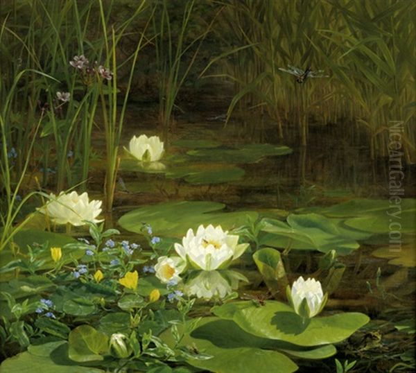 Waldteich Mit Seerosen, Frosch Und Libelle Oil Painting by Anthonie, Anthonore Christensen