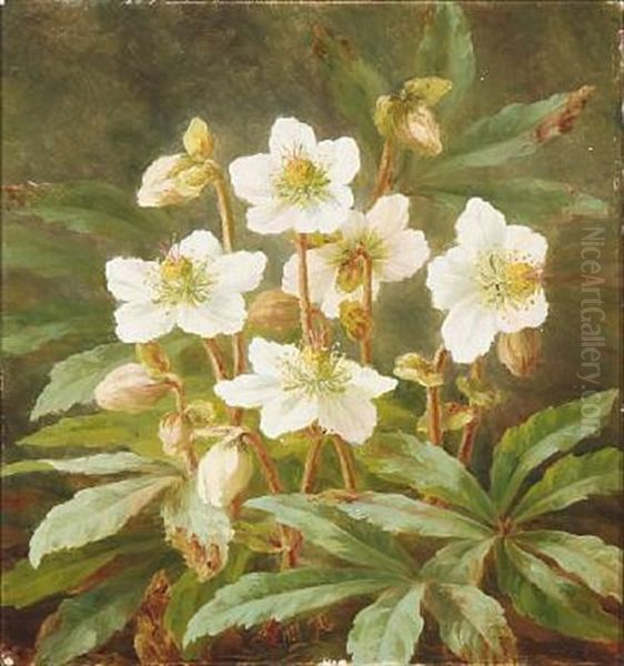 Christmas Roses Oil Painting by Anthonie, Anthonore Christensen