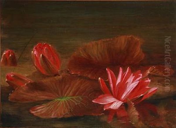 Rode Aakander Fra Slotshaven I Athen Oil Painting by Anthonie, Anthonore Christensen