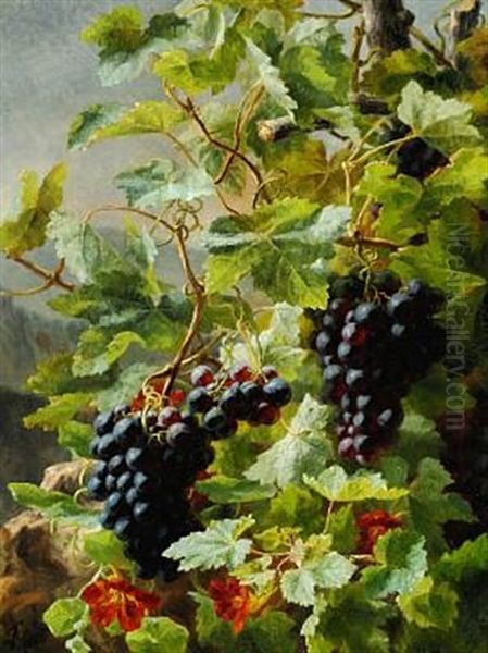 Druer (bunches Of Growing Blue Grapes And Orange-coloured Garden Nasturtium) Oil Painting by Anthonie, Anthonore Christensen