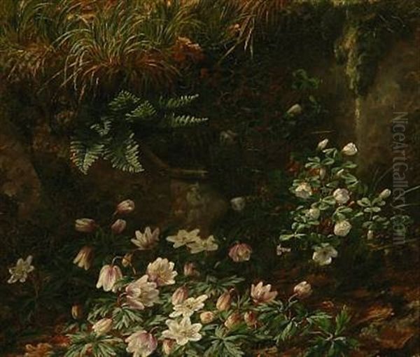 Forest Floor With Anemones Oil Painting by Anthonie, Anthonore Christensen
