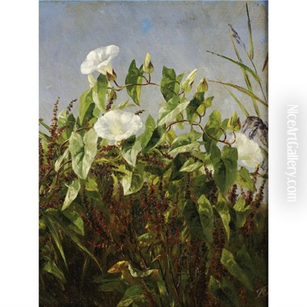 Morning Glories Oil Painting by Anthonie, Anthonore Christensen