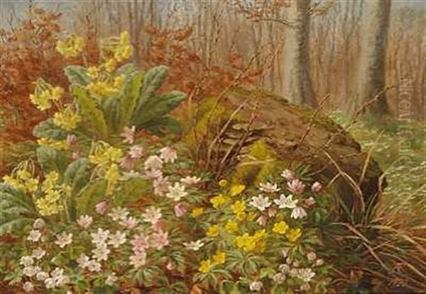 Blomstrende Skovbund Oil Painting by Anthonie, Anthonore Christensen