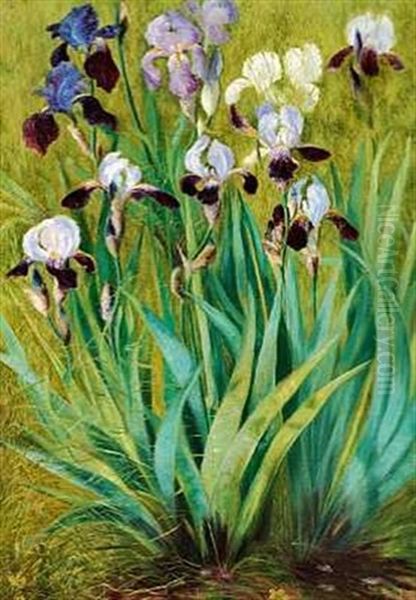 Vildtvoksende Iris Oil Painting by Anthonie, Anthonore Christensen