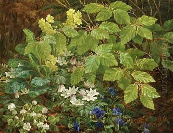 Nyudsprungne Anemoner Og En Bogegren I Skovbunden Oil Painting by Anthonie, Anthonore Christensen