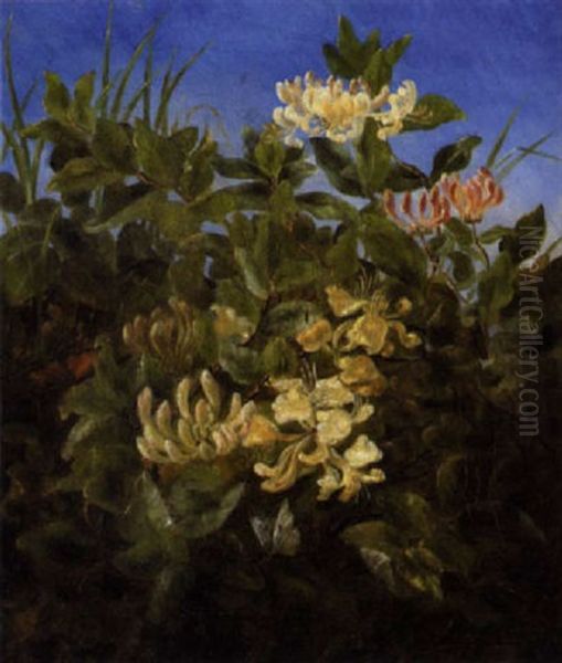 Blomstrende Kaprifolier Med Sommerfugl Oil Painting by Anthonie, Anthonore Christensen