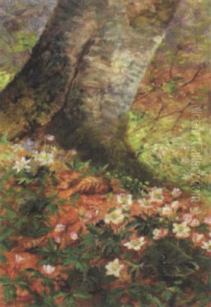 Skovbund Med Traerodder, Anemoner Og Violer Samt Visne Blade Oil Painting by Anthonie, Anthonore Christensen