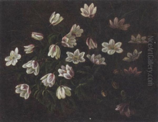 Opstilling Med Hvide Anemoner Oil Painting by Anthonie, Anthonore Christensen