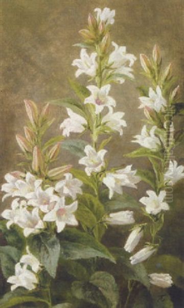 Blomstrende Hvide Liljer Oil Painting by Anthonie, Anthonore Christensen