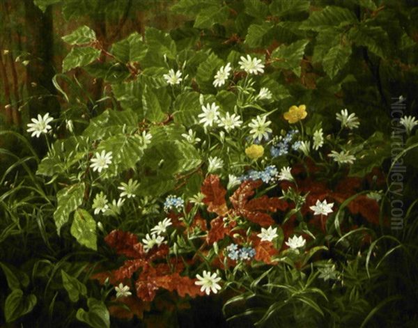 Skovbund Med Nyudsprungne Smorblomster, Skovfladstjerner Og Forglemmigej Oil Painting by Anthonie, Anthonore Christensen