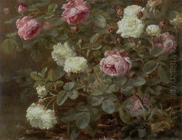 Lyserode Og Hvide Blomstrende Roser Oil Painting by Anthonie, Anthonore Christensen